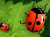 Fun games - 2 Many Bugs