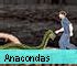 Action Game: Anacondas