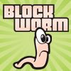 Puzzle games - Block Worm