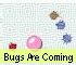 Puzzle Game: Bugs Are Coming