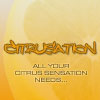 Puzzle games - Citrusation