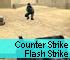 Shooting Game: Counter Strike - Flash Strike