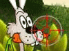 Shooting games - Crack Shot