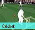 Sports games - Cricket