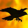 Adventure games - Crow in Hell