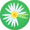 Puzzle games - Daisy Petals