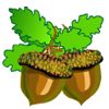 Fun games - Fight for acorns