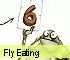 Puzzle Game: Fly Eating