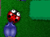 Fun games - Hungry Bugs