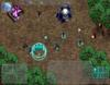 Action games - Insect