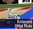 Sports Game: Knievels Wild Ride