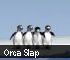 Sports games - Orca Slap