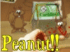 Fun games - Peanut