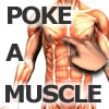 Sports games - Poke-A-Muscle