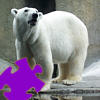 Puzzle games - Polar Bear Jigsaw