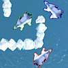 Driving games - Polar Bear Racing