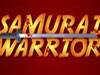 Action Game: Samurai