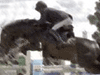 Sports games - Show Jumping