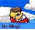 Shooting games - Sky Wings