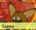 Arcade Game: Sonny