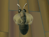 Action games - Tiger Moth