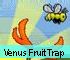 Arcade games - Venus Fruit Trap