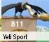 Fun Game: Yeti Sport