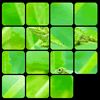 Puzzle games - Zen Puzzle